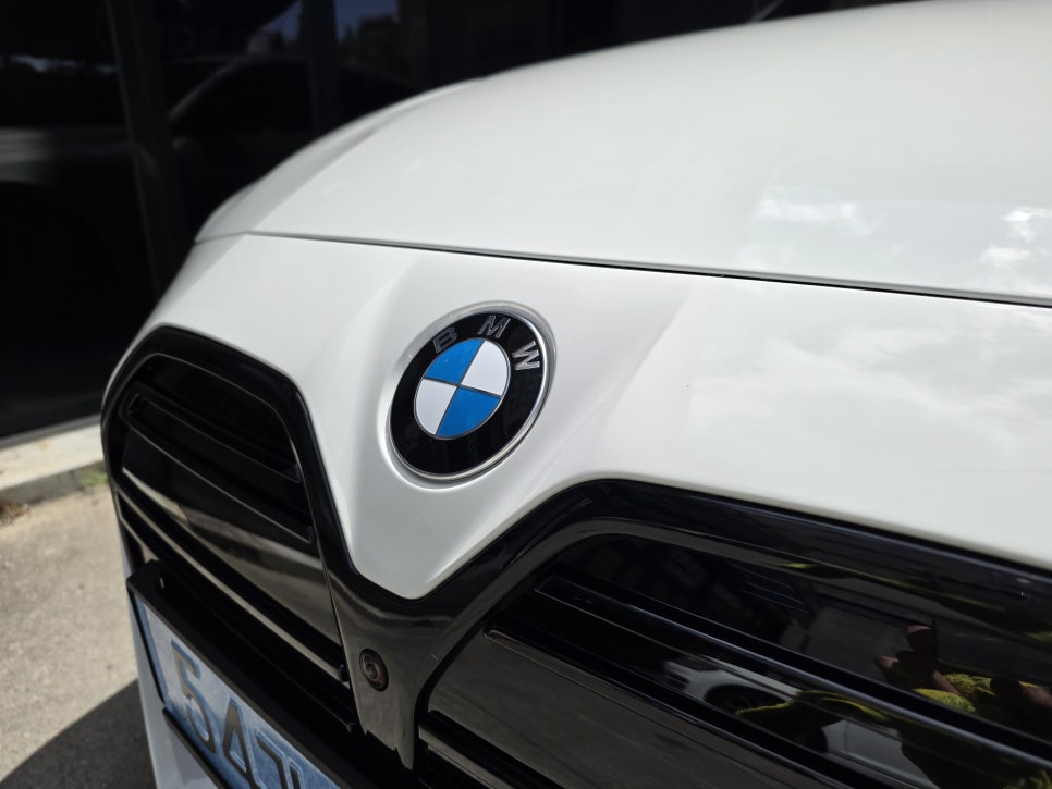 BMW I4 철분·타르 제거 작업
